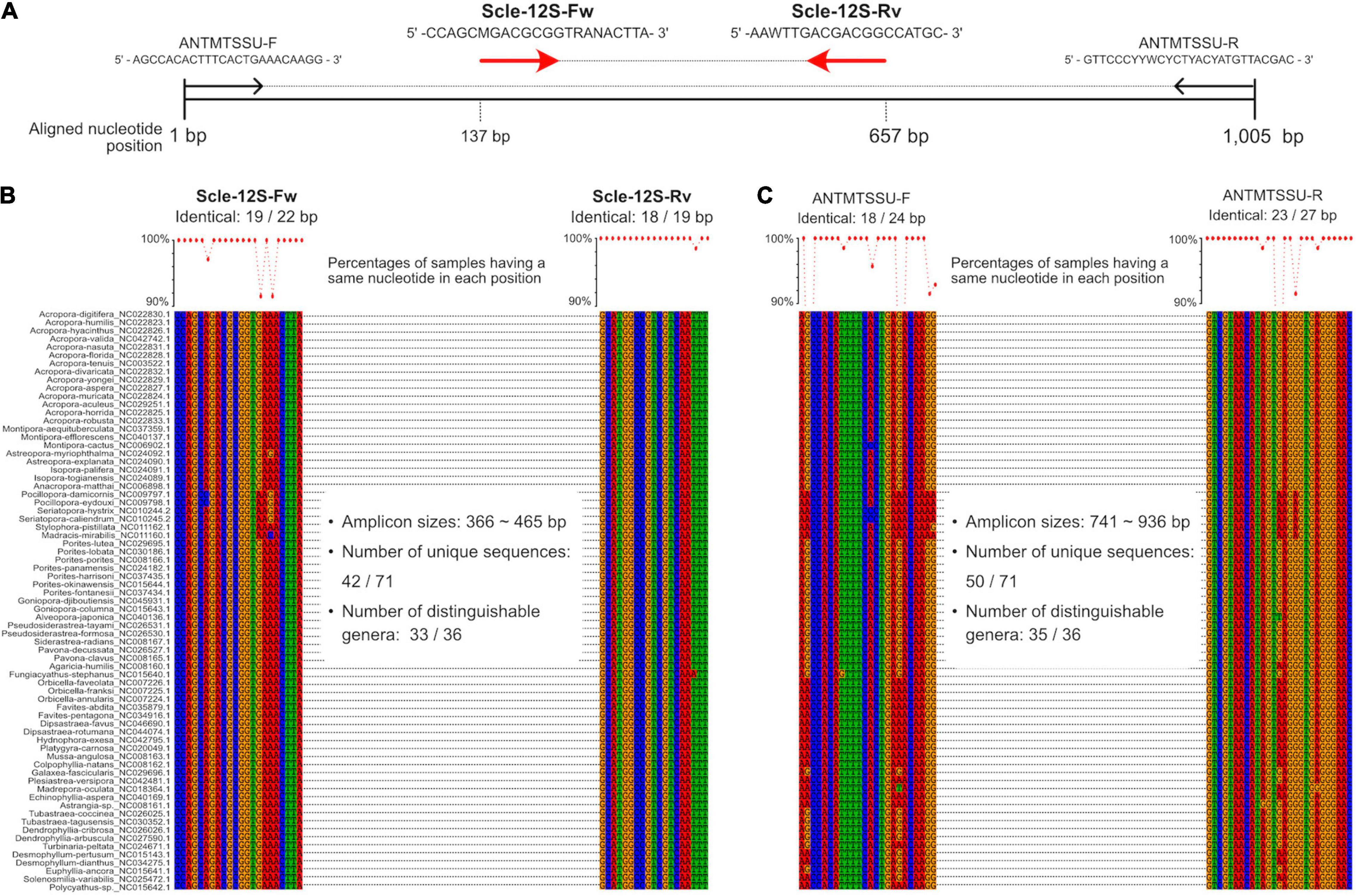 Figure 3. Overview of the Scl-eDNA-M-JPN method