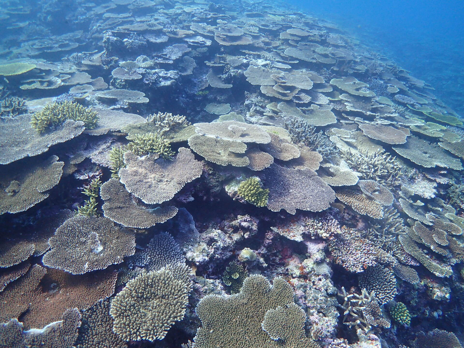 Miyako and Irabu island