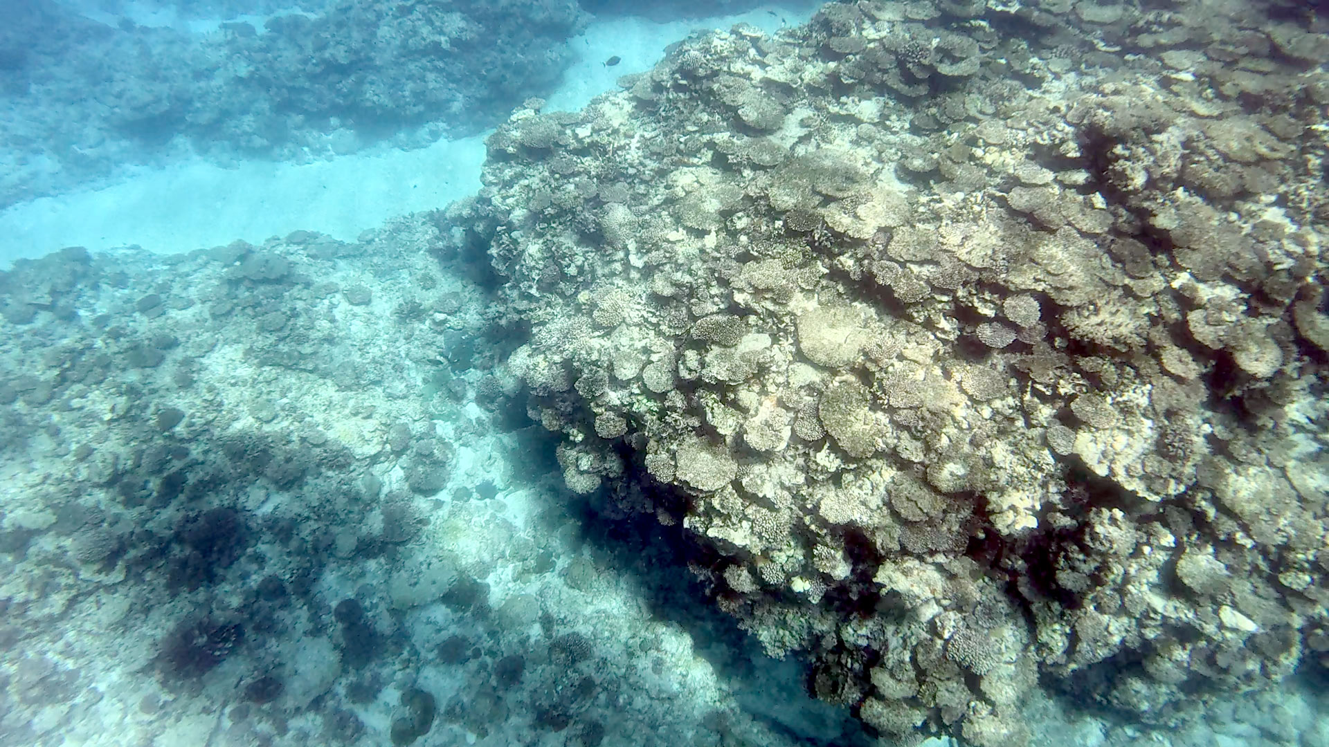 Aguni Island