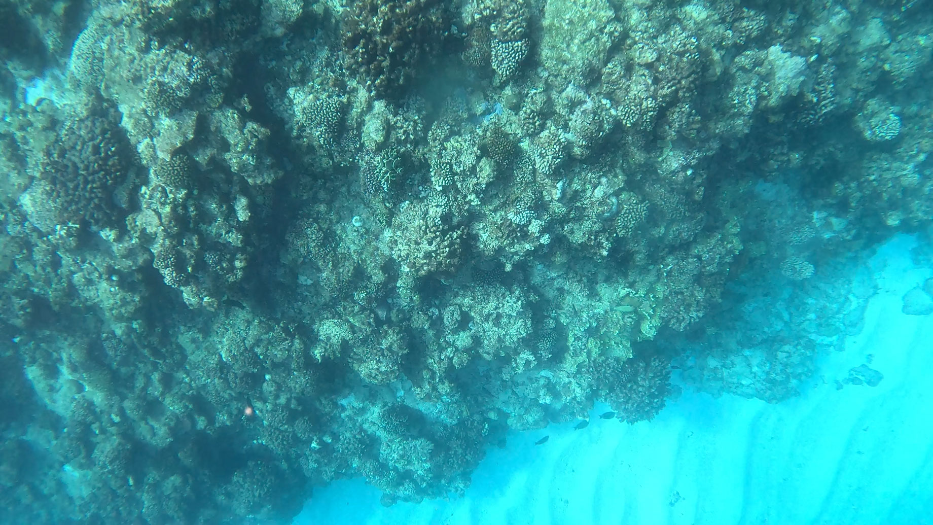 Tonaki Island